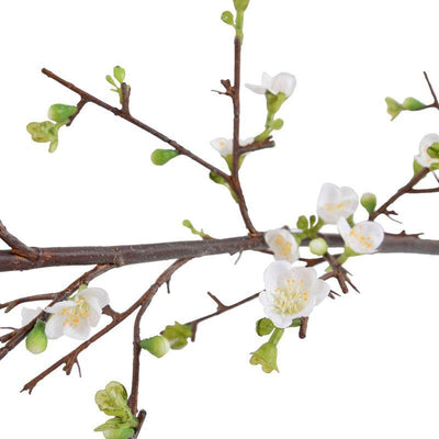 Quince Spray, 47" L - White - New Growth Designs