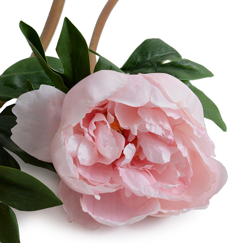 Peony Stem with Leaves, 21" -Pink