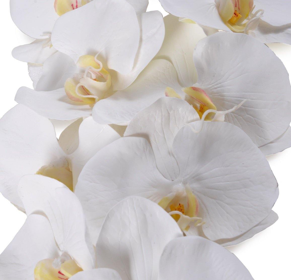 Orchid x 12 Stem, 44"L - Phalaenopsis - New Growth Designs