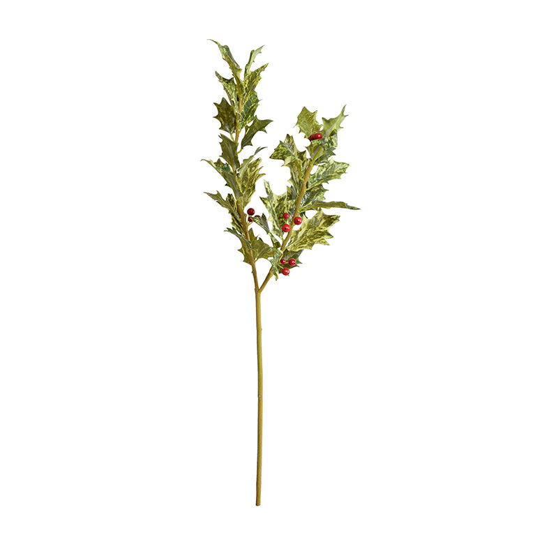 Holly Branch with Red Berries, 20" - Variegated