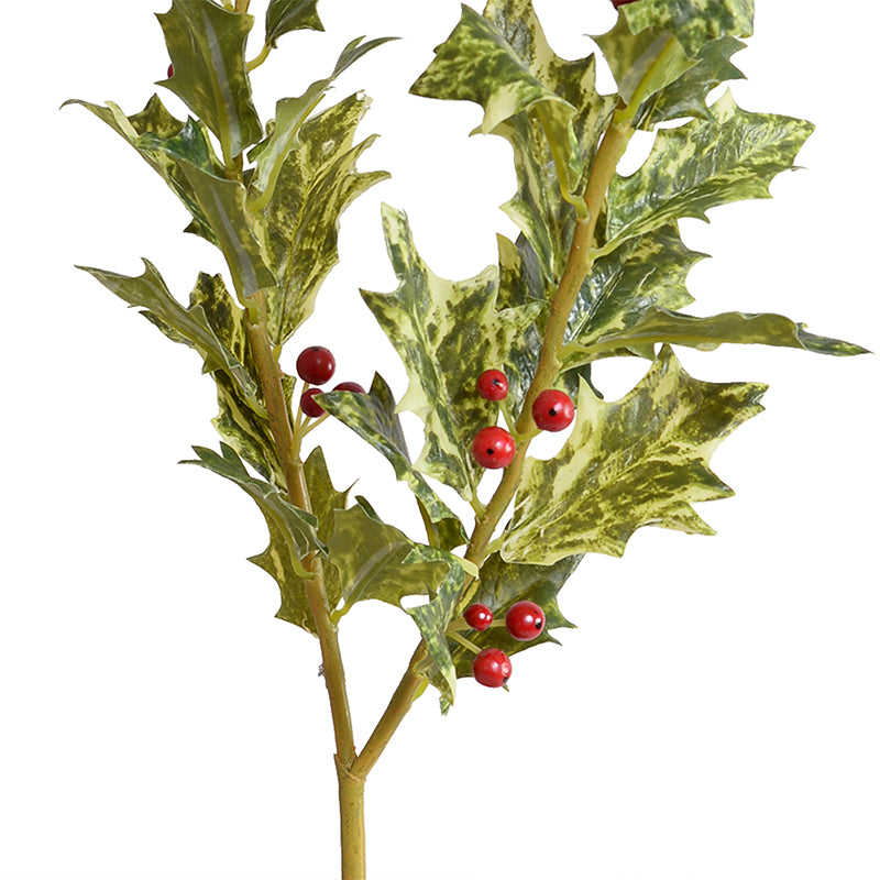 Holly Branch with Red Berries, 20" - Variegated