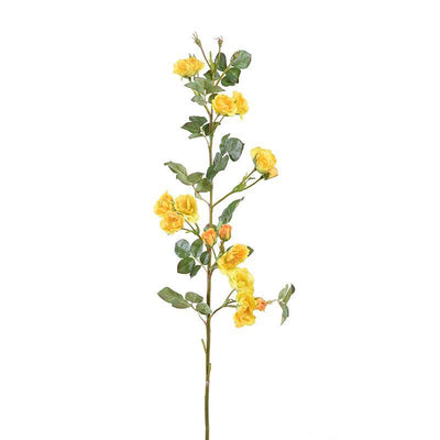Rose, 35" Rambler - Yellow - New Growth Designs