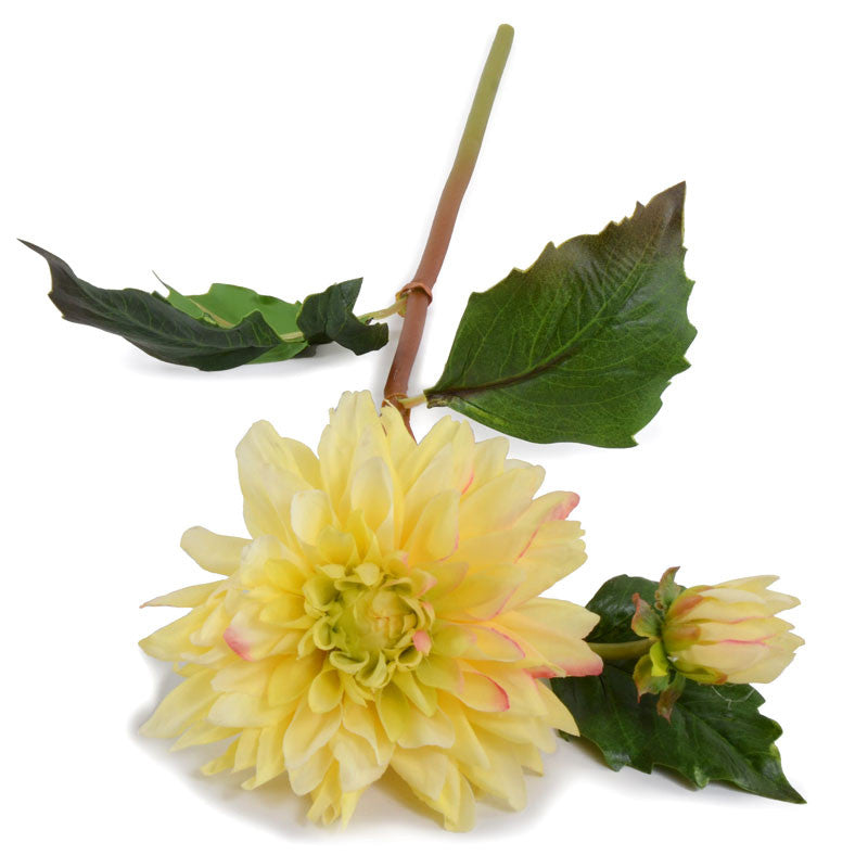 Dahlia Flower Stem - New Growth Designs