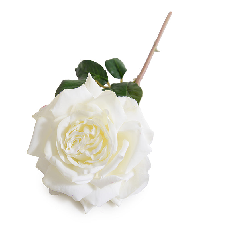 Rose "Dutchess" Stem, 20" - White