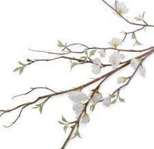 Cherry Blossom Branch, 60" L - White - New Growth Designs