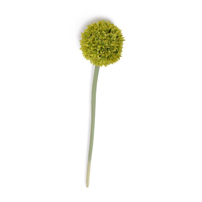 Allium Flower Stem, 4" diameter - New Growth Designs