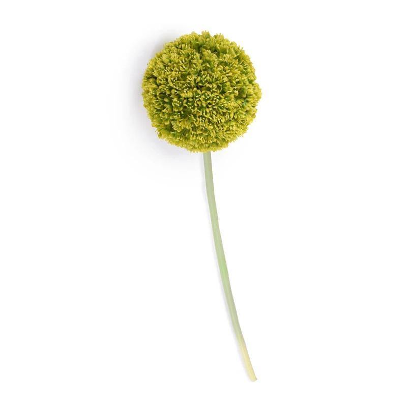 Allium Flower Stem, 5.5" diameter - New Growth Designs