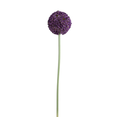 Allium Flower Stem, 5.5" D - Purple - New Growth Designs