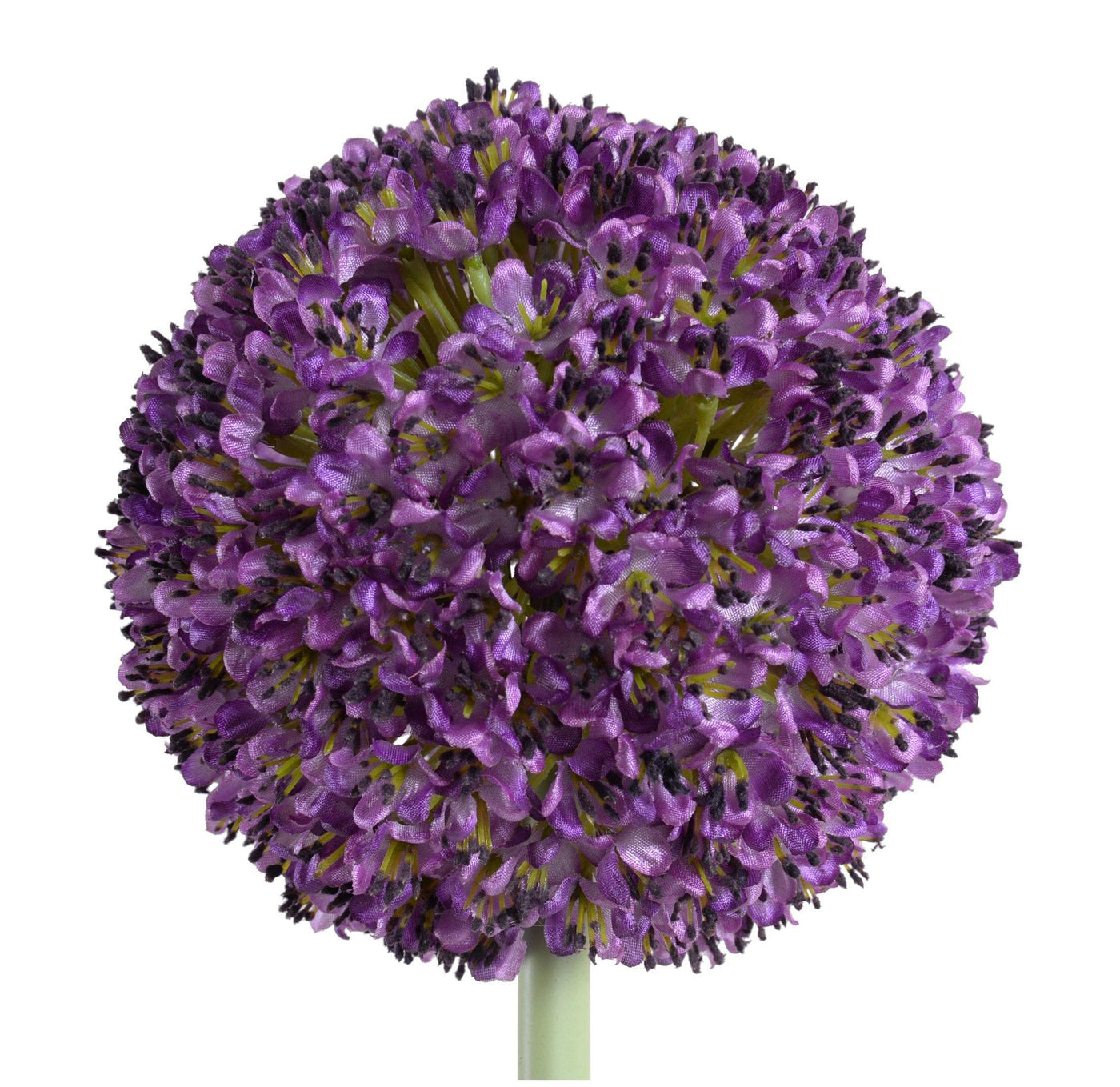 Allium Flower Stem, 5.5" D - Purple - New Growth Designs