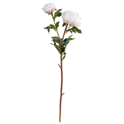 Peony Stem with Bud & Leaves, 32" - New Growth Designs