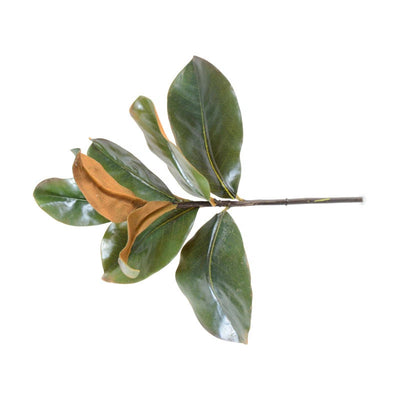Magnolia Leaf Pick, 14" L