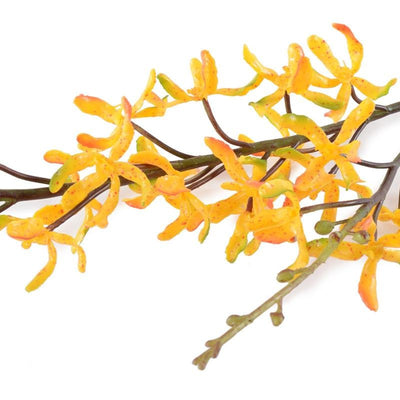 Aranda Orchid Spray, 32" - New Growth Designs