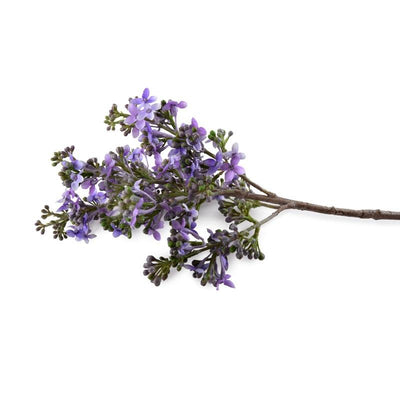 Lilac Branch, 38" L - Lavender
