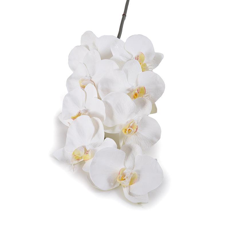 Orchid x8 Stem, 37.5"L - Phalaenopsis - New Growth Designs