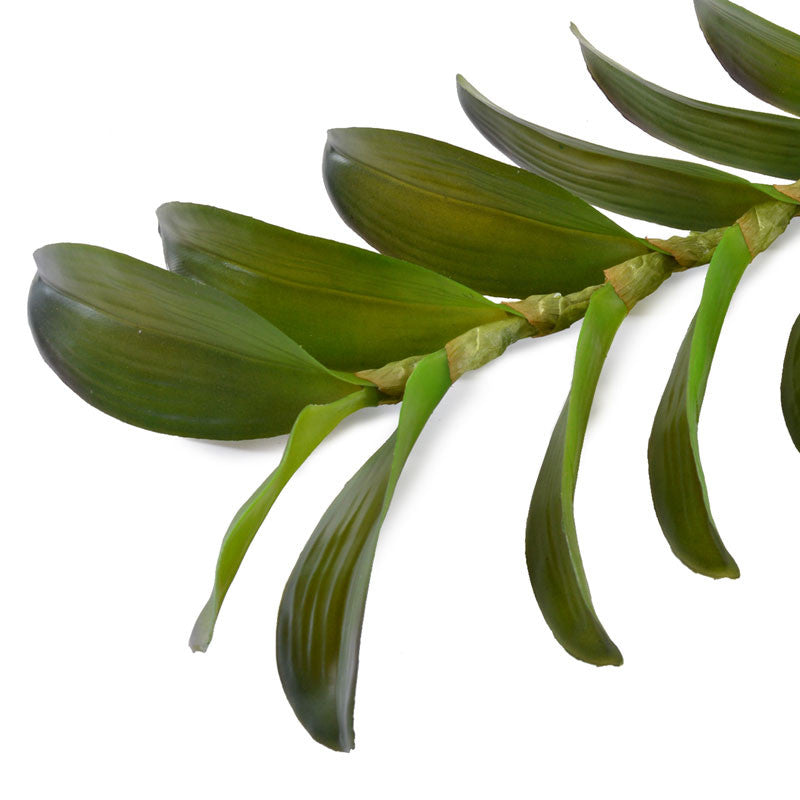 Aranda Orchid Leaf x19 - New Growth Designs