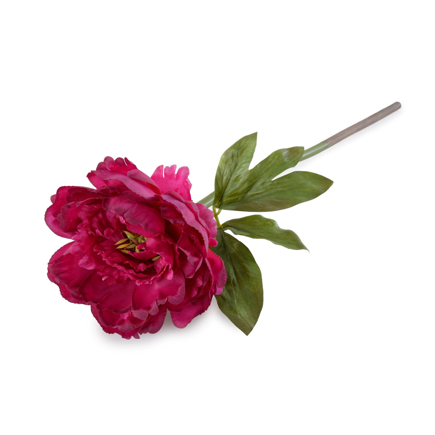 Peony Stem with Leaves, 18" - Beauty - New Growth Designs