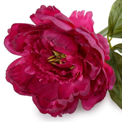 Peony Stem with Leaves, 18" - Beauty - New Growth Designs
