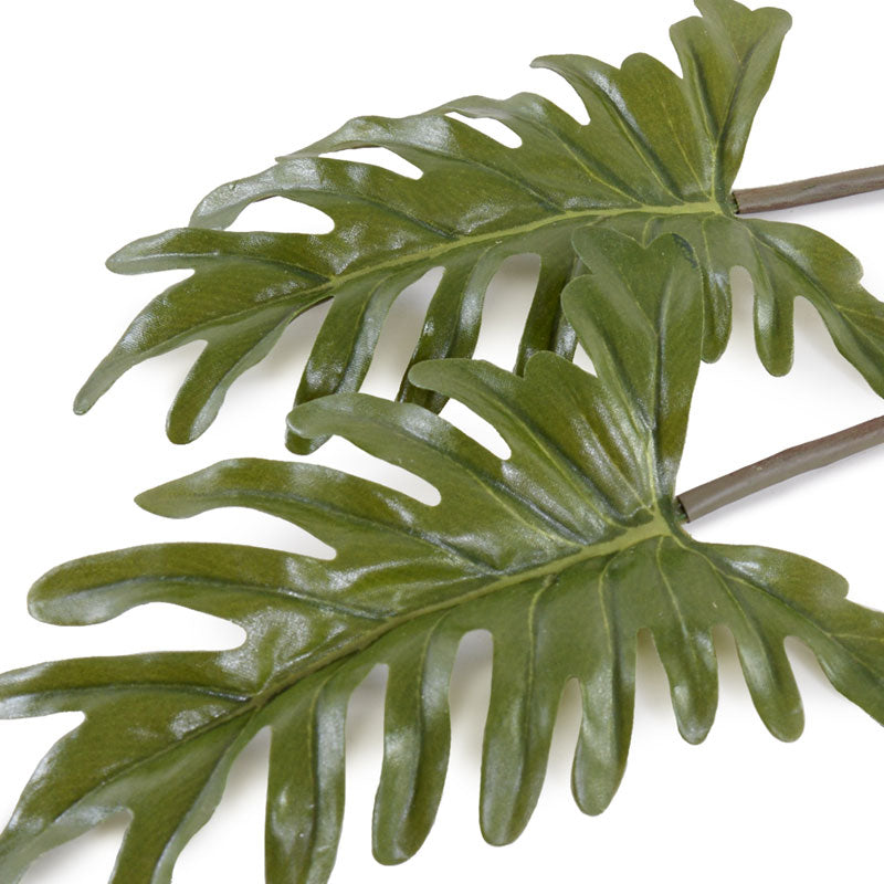 Philodendron Leaf Pick, 7" L