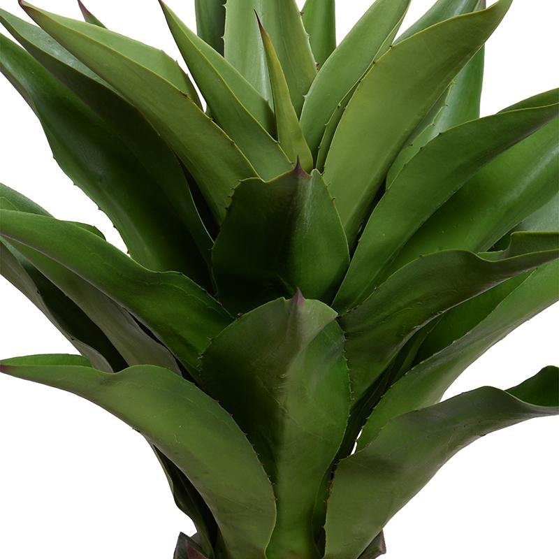 Agave Americana Plant in Tall Round Pot, 32"H - New Growth Designs