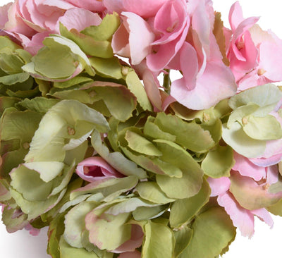 Hydrangea Stem, 19" - Pink Green - New Growth Designs