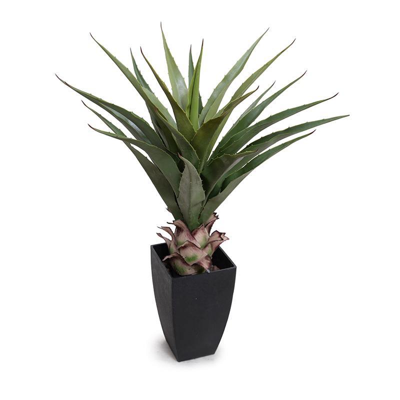 Agave Americana Plant in Square Pot, 28"H - New Growth Designs