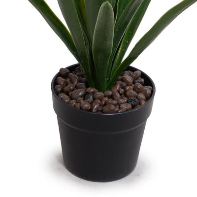 Yucca Plant in Round Pot, 30"H - New Growth Designs