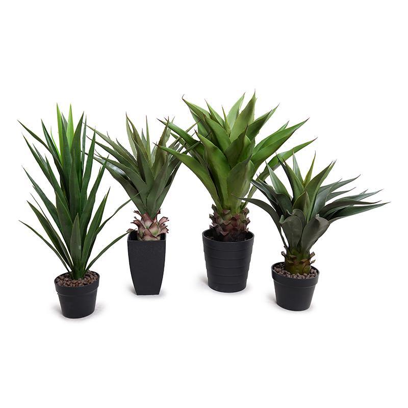 Agave Americana Plant in Short Round Pot, 24"H - New Growth Designs