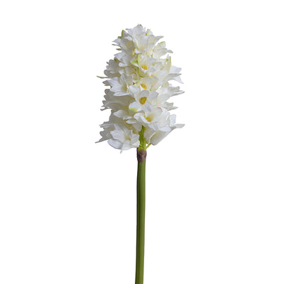 Hyacinth Stem, 14"L - White