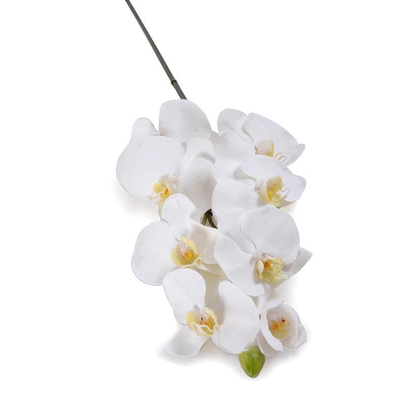 Orchid x8 w/Bud, 40"L - Phalaenopsis - New Growth Designs