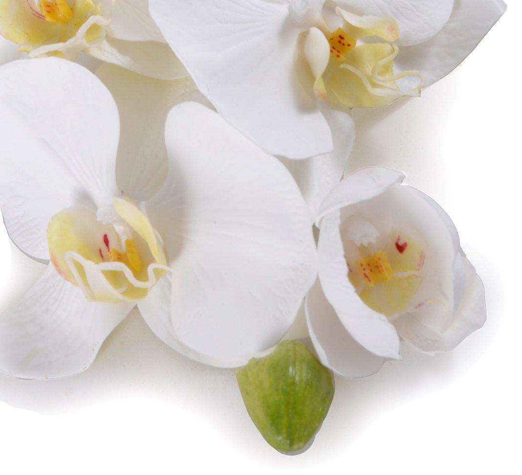 Orchid x8 w/Bud, 40"L - Phalaenopsis - New Growth Designs