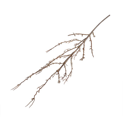 Forsythia Branch, 49" L