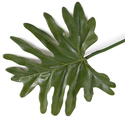 Philodendron Mini-Monstera Leaf, 18" L