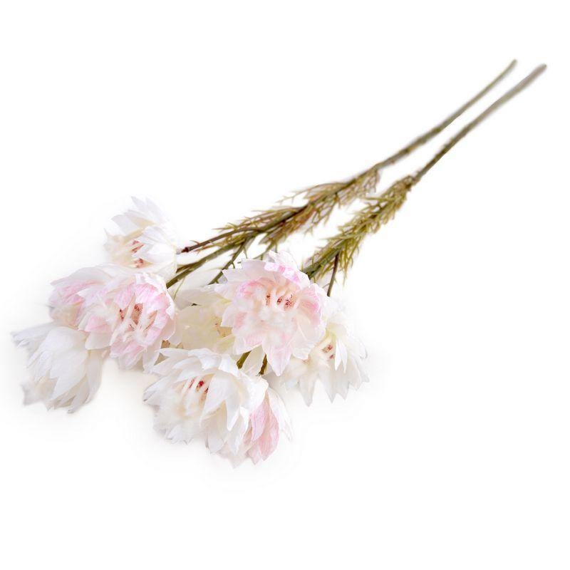Protea Flower Stem, 24" L - Pink White - New Growth Designs