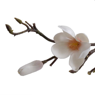 Magnolia Tree Branch, 60" L - New Growth Designs