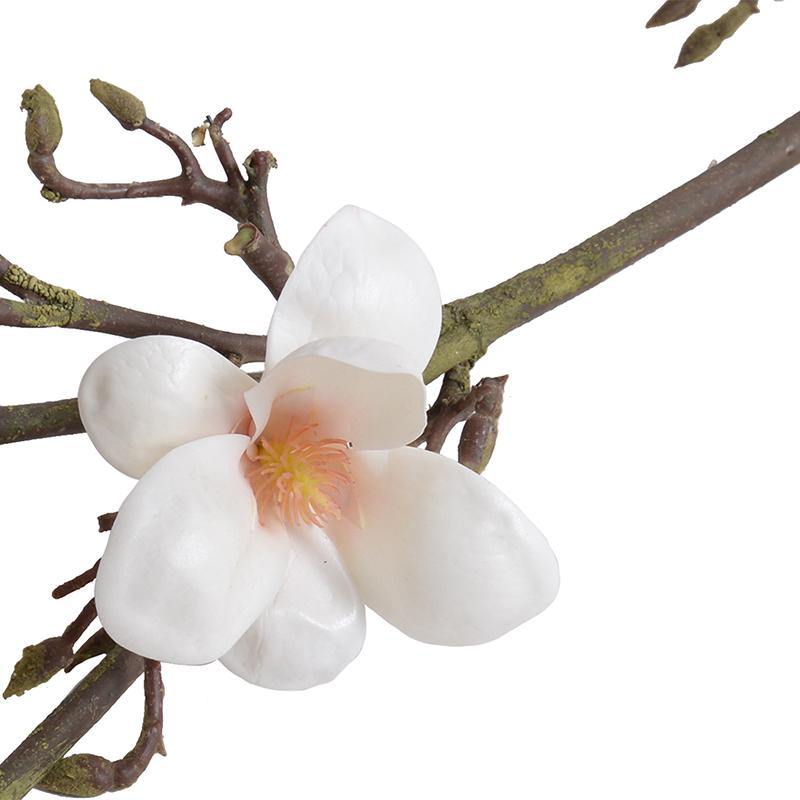 Magnolia Tree Branch, 60" L - New Growth Designs