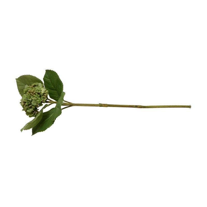 Hydrangea Bud Stem with Leaf, 28" L - Green - New Growth Designs
