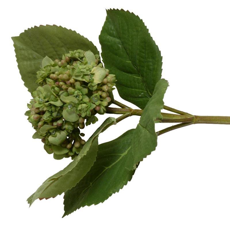Hydrangea Flowering Bud Stem - New Growth Designs