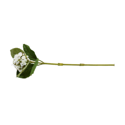 Hydrangea Bud Stem with Leaf, 28" L - White - New Growth Designs