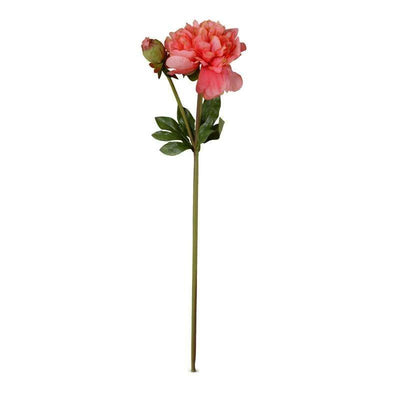 Peony Stem with Bud & Leaves, 28" - New Growth Designs