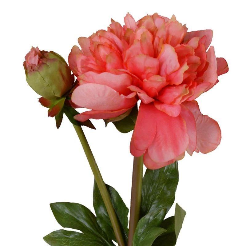 Peony Stem with Bud & Leaves, 28" - New Growth Designs