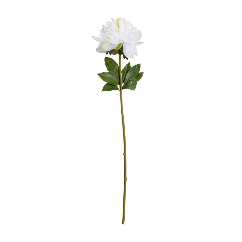 Peony Stem with Leaves, 28" - New Growth Designs