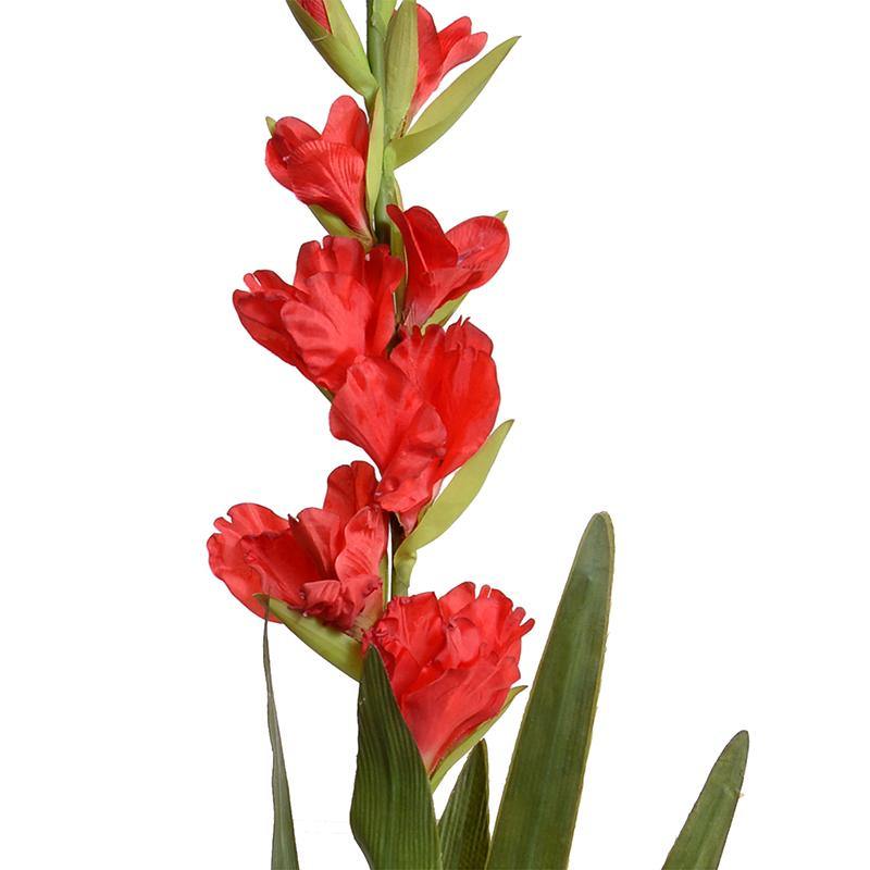 Gladiolus Flower Stem, 48 L - Red – New Growth Designs