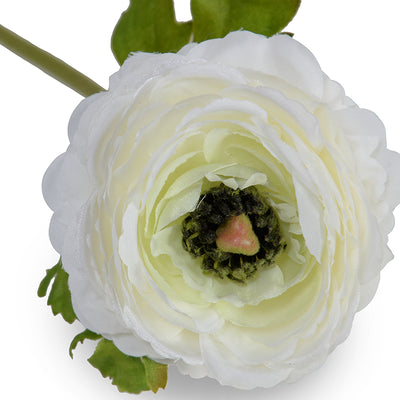 Ranunculus Stem, 15"L - White