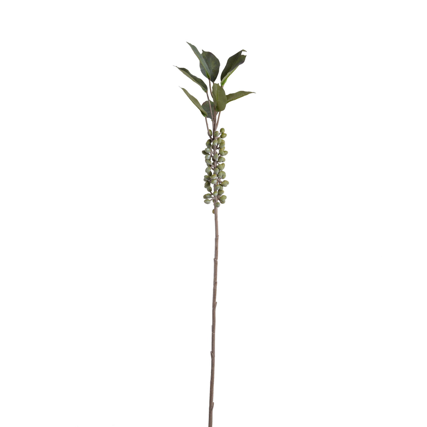 Berry Branch, 37" L - Coffee - New Growth Designs
