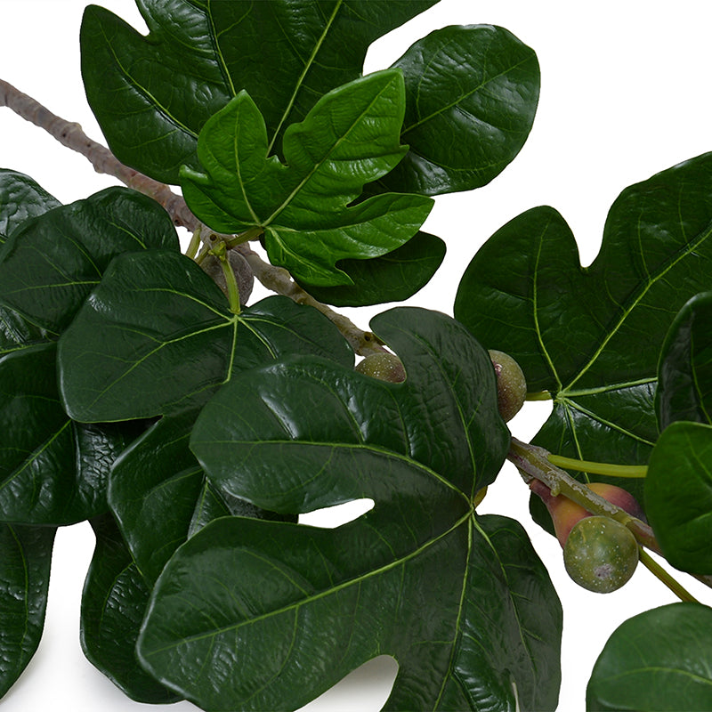 Fig Leaf branch spray w/fruits, 48"L