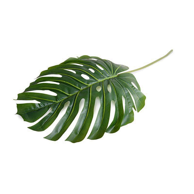 Large Monstera Leaf branch, 52"L - New Growth Designs