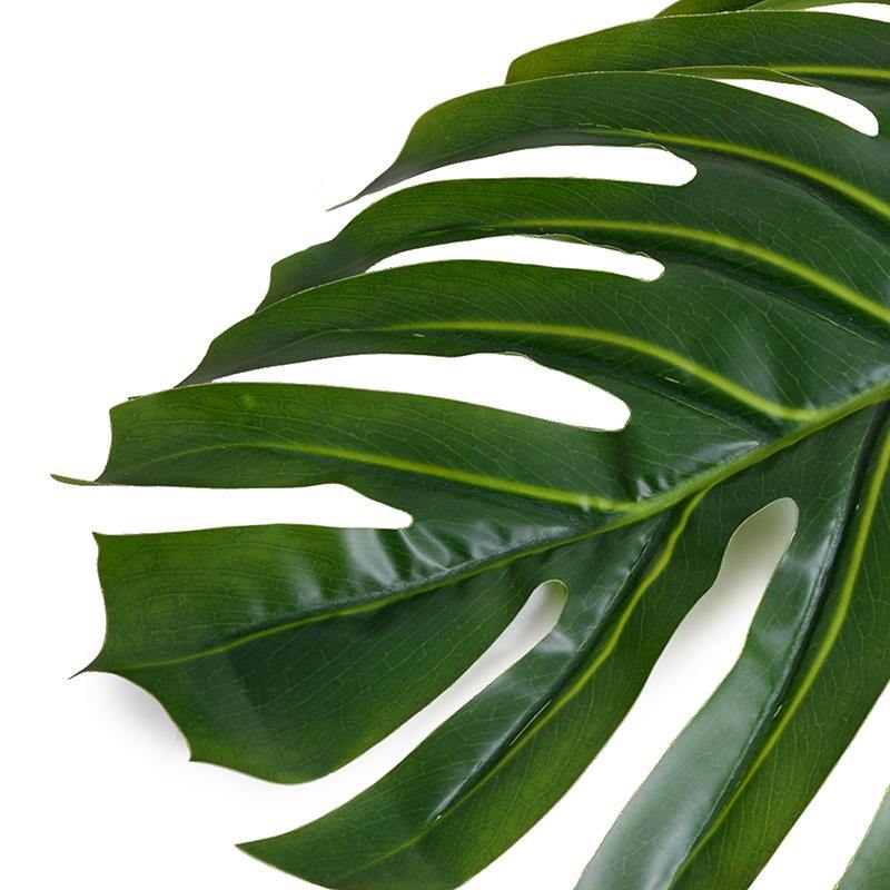 Monstera Leaf Branch, 52