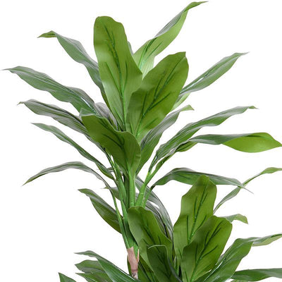 Dracaena in Round Pot, 52"H - New Growth Designs