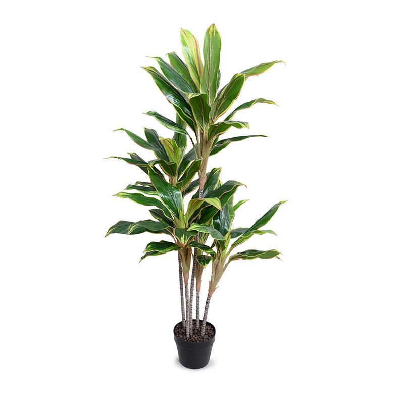 Wholesale Artificial Dracaena Plant in Round Pot Indoor 52 Inches Tall - New Growth Designs