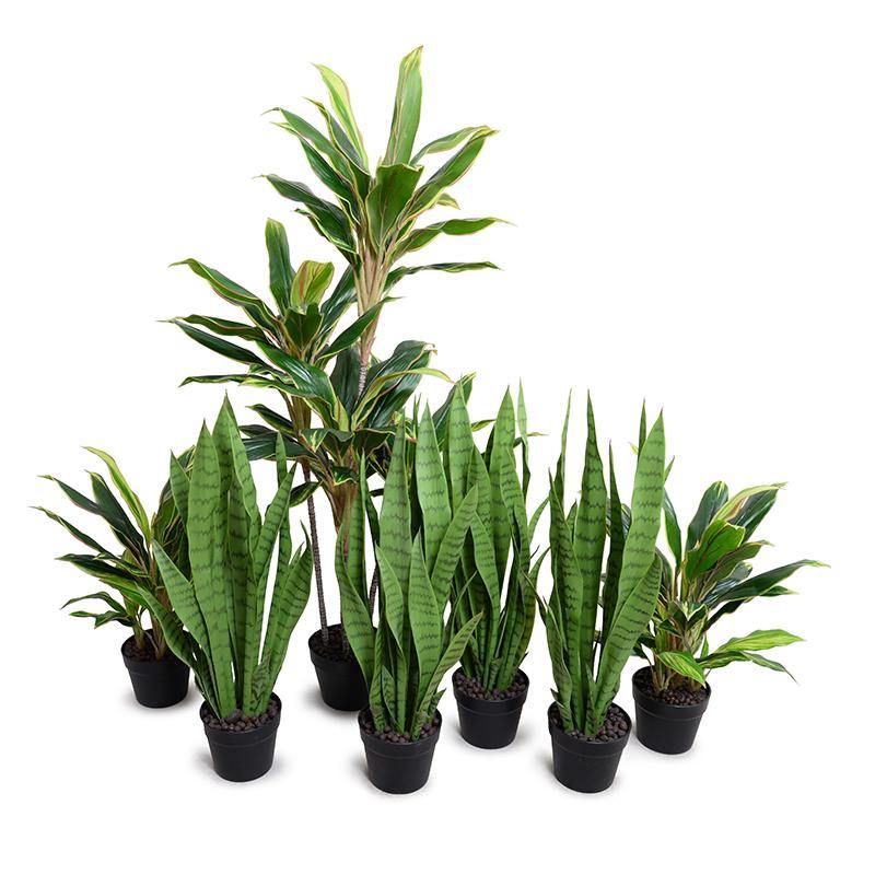 artificial snake plant in planter Snake Plant (Sansevieria) – New Growth Designs